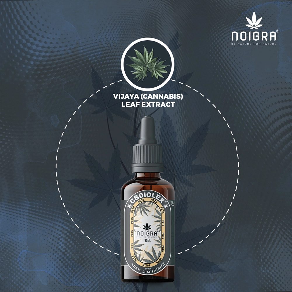 Noigra CBDILOEX for Pets, 30ml on itshemp.in