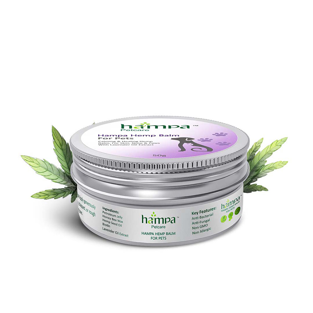 Hampa Hemp Balm for Pets 50g - Image 1