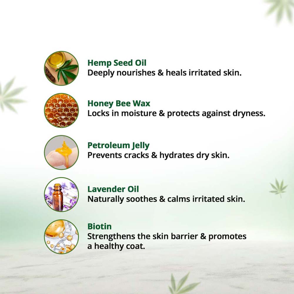 Hampa Hemp Balm for Pets 50g - Image 5