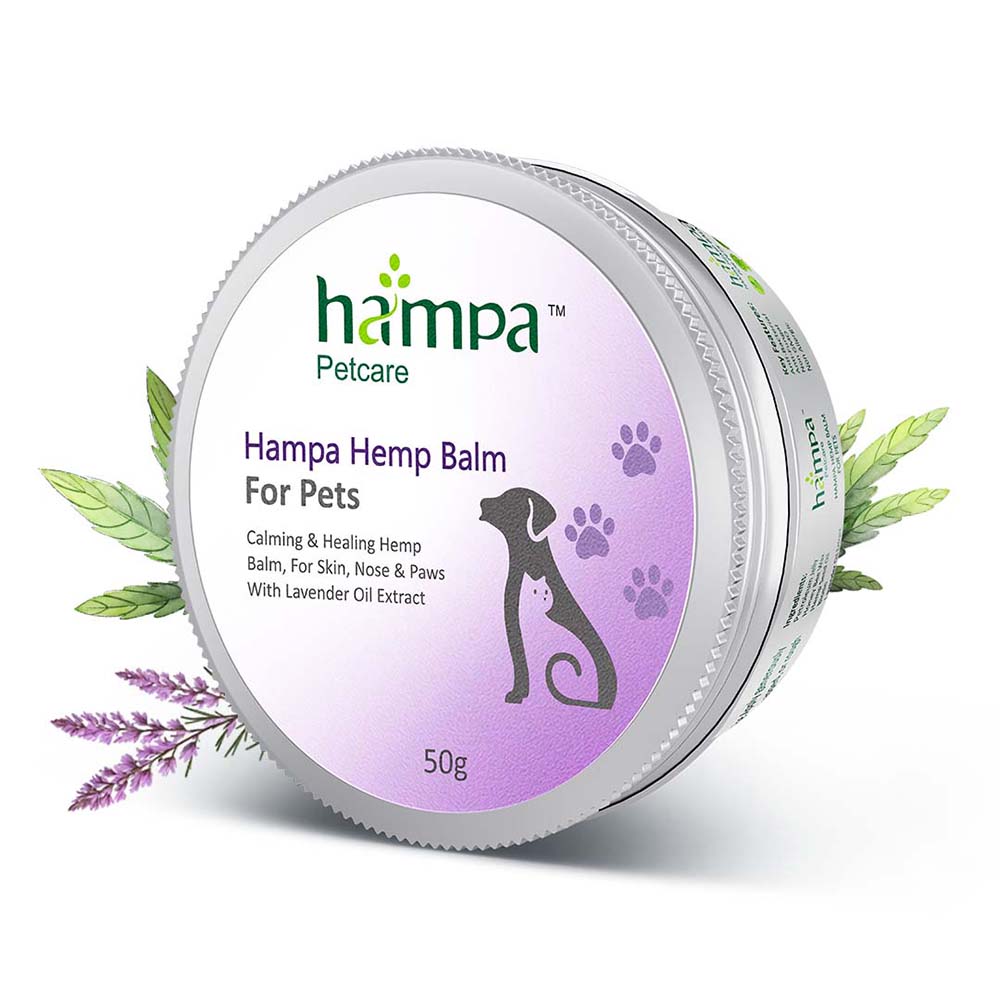 Hampa Hemp Balm for Pets 50g - Image 2