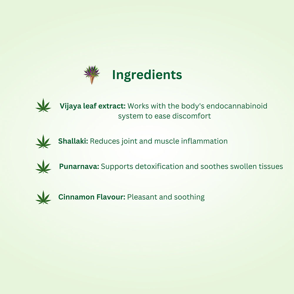 Hampa Vijaya Extract Decoction Strong 10ml - Image 3
