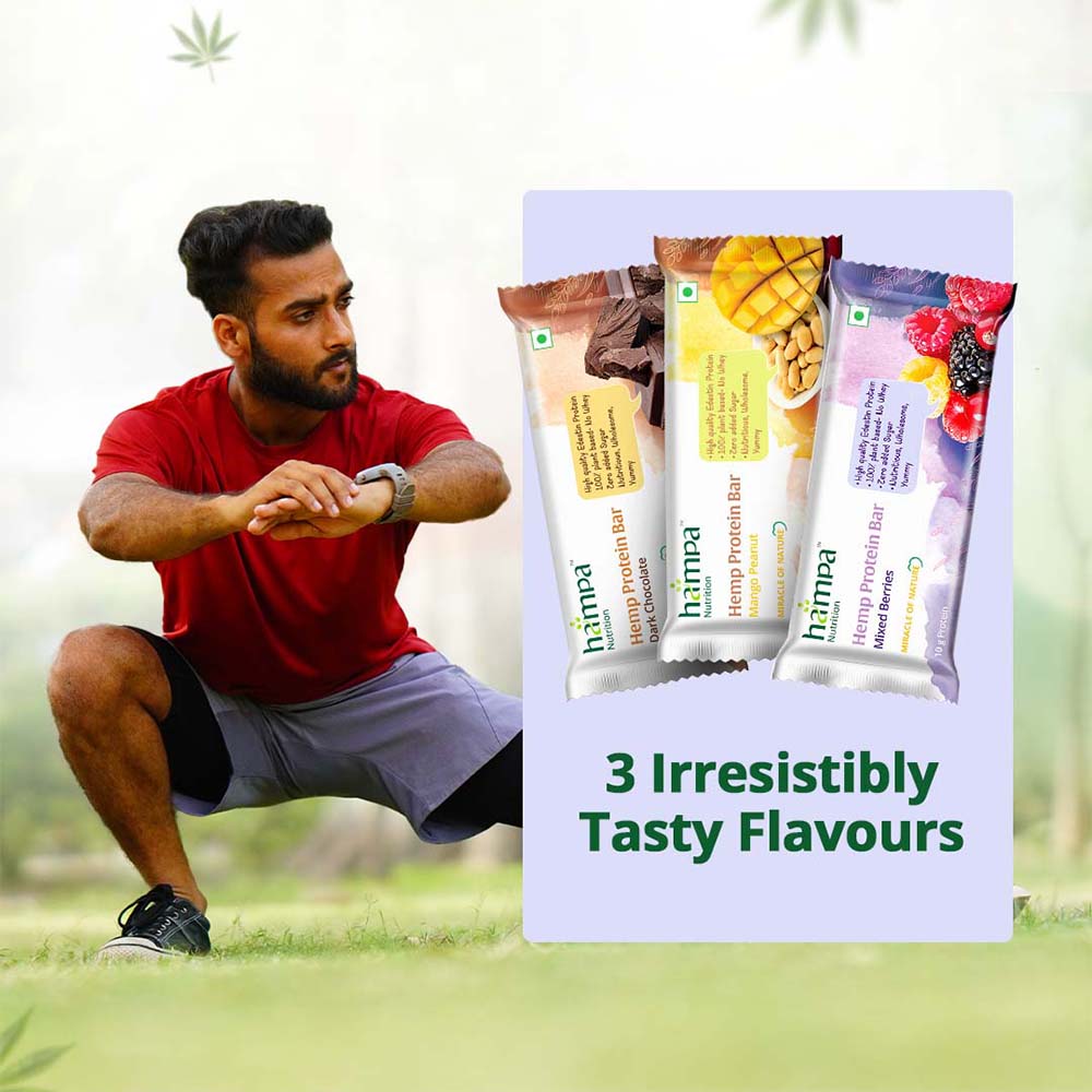 Hampa Hemp Protein Bar 50g - Mixed Flavours - Pack of 3 - Image 3
