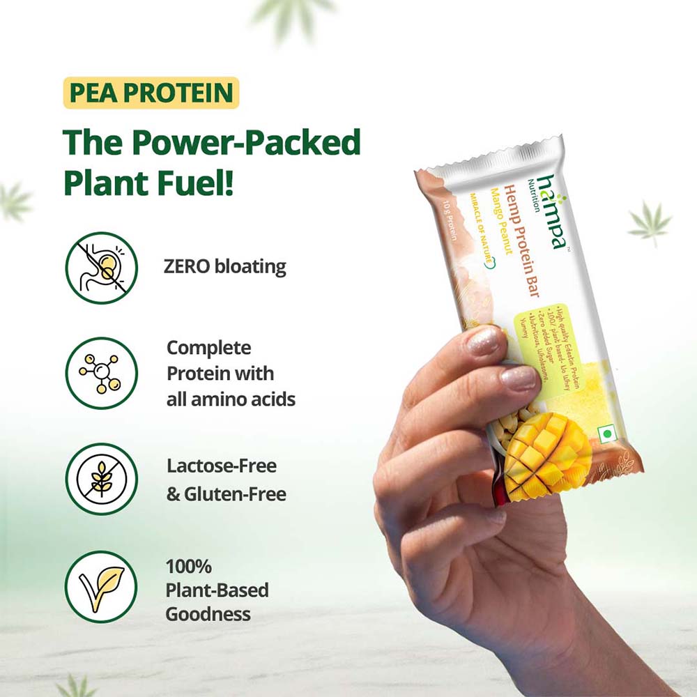 Hampa Hemp Protein Bar 50g - Mango Peanut - Pack of 3 - Image 5