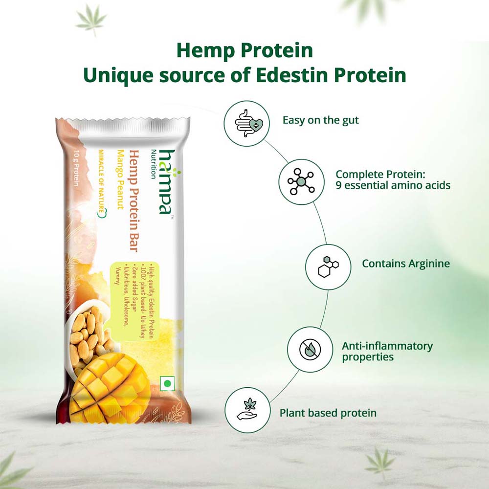 Hampa Hemp Protein Bar 50g - Mango Peanut - Pack of 3 - Image 4