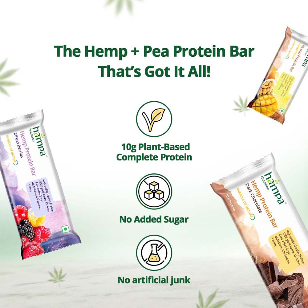 Hampa Hemp Protein Bar 50g - Mixed Flavours X 6 - Image 5