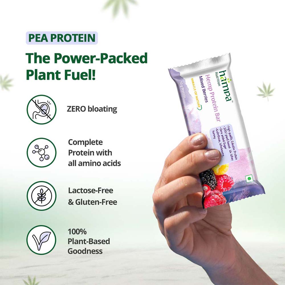 Hampa Hemp Protein Bar 50g - Mixed Flavours X 6 - Image 4