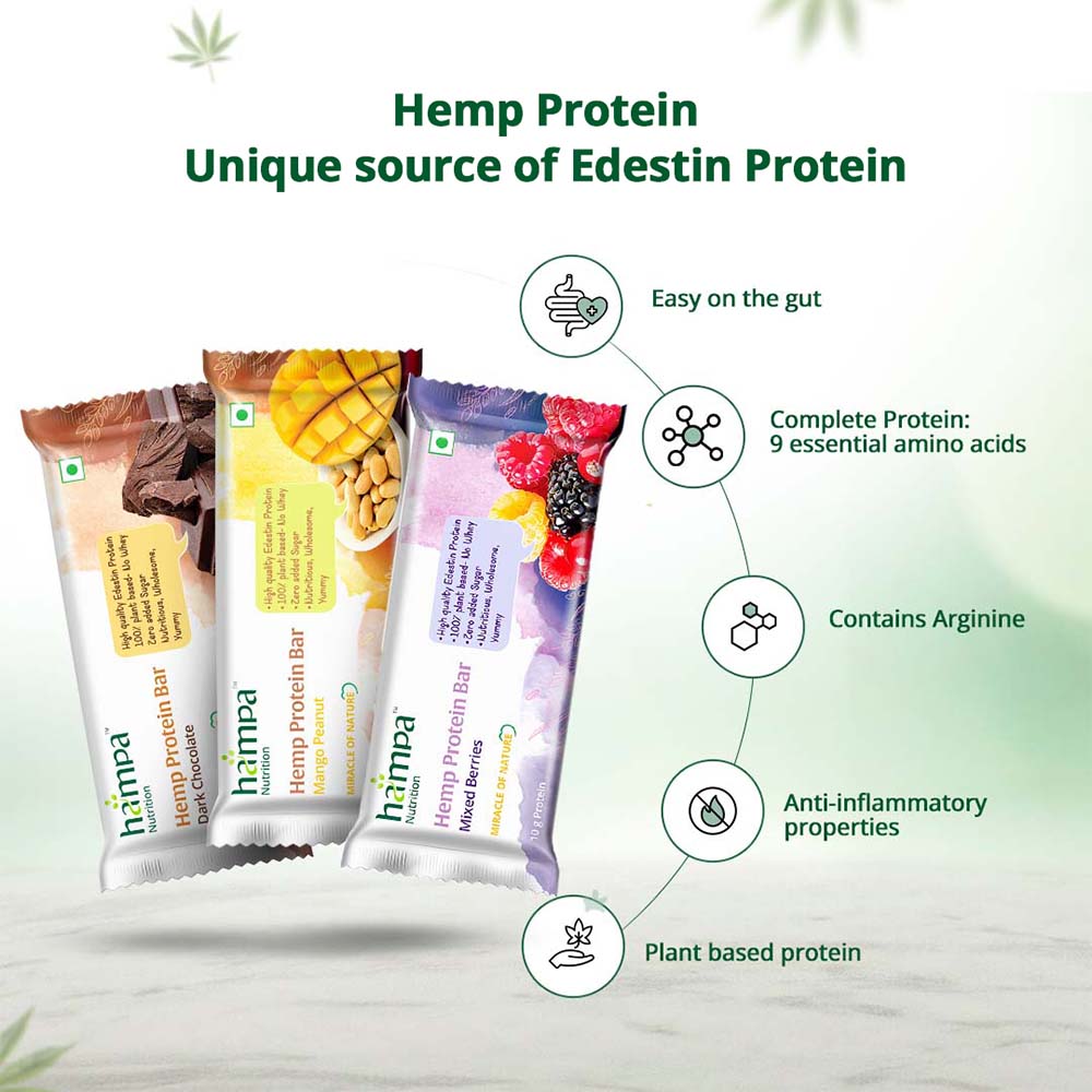 Hampa Hemp Protein Bar 50g - Mixed Flavours X 6 - Image 3