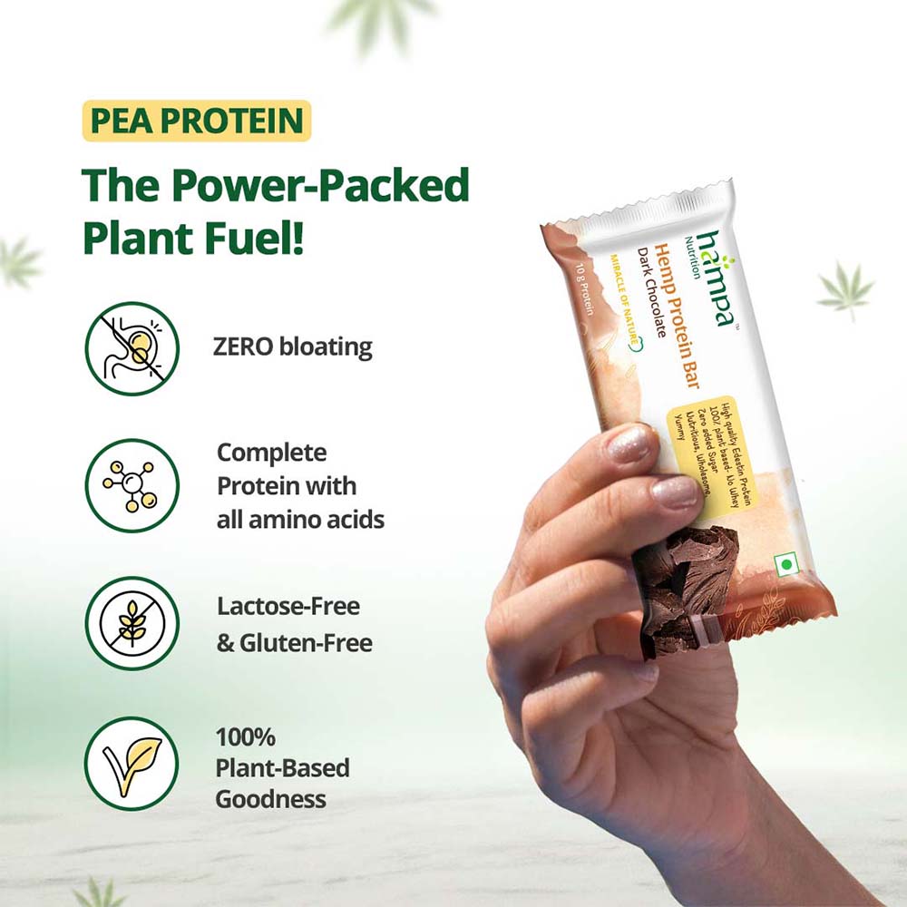 Hampa Hemp Protein Bar 50g - Dark Chocolate - Pack of 6 - Image 6