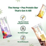 Hampa Hemp Protein Bar 50g - Mixed Flavours X 12 - Image 8