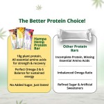 Hampa Hemp Protein Bar 50g - Mixed Flavours X 12 - Image 6