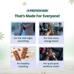 Hampa Hemp Protein Bar 50g - Mixed Flavours X 12 - Image 5