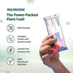Hampa Hemp Protein Bar 50g - Mixed Flavours X 12 - Image 3