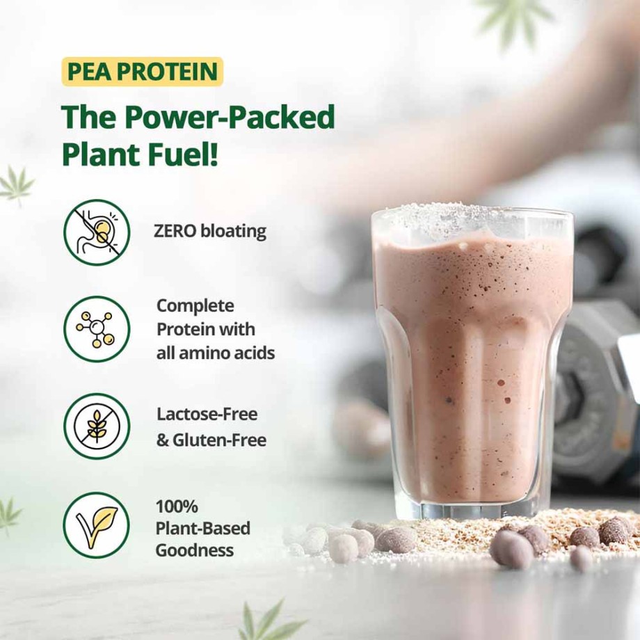 Hampa Protein powder- Vanilla, Pack of 3 - Image 4
