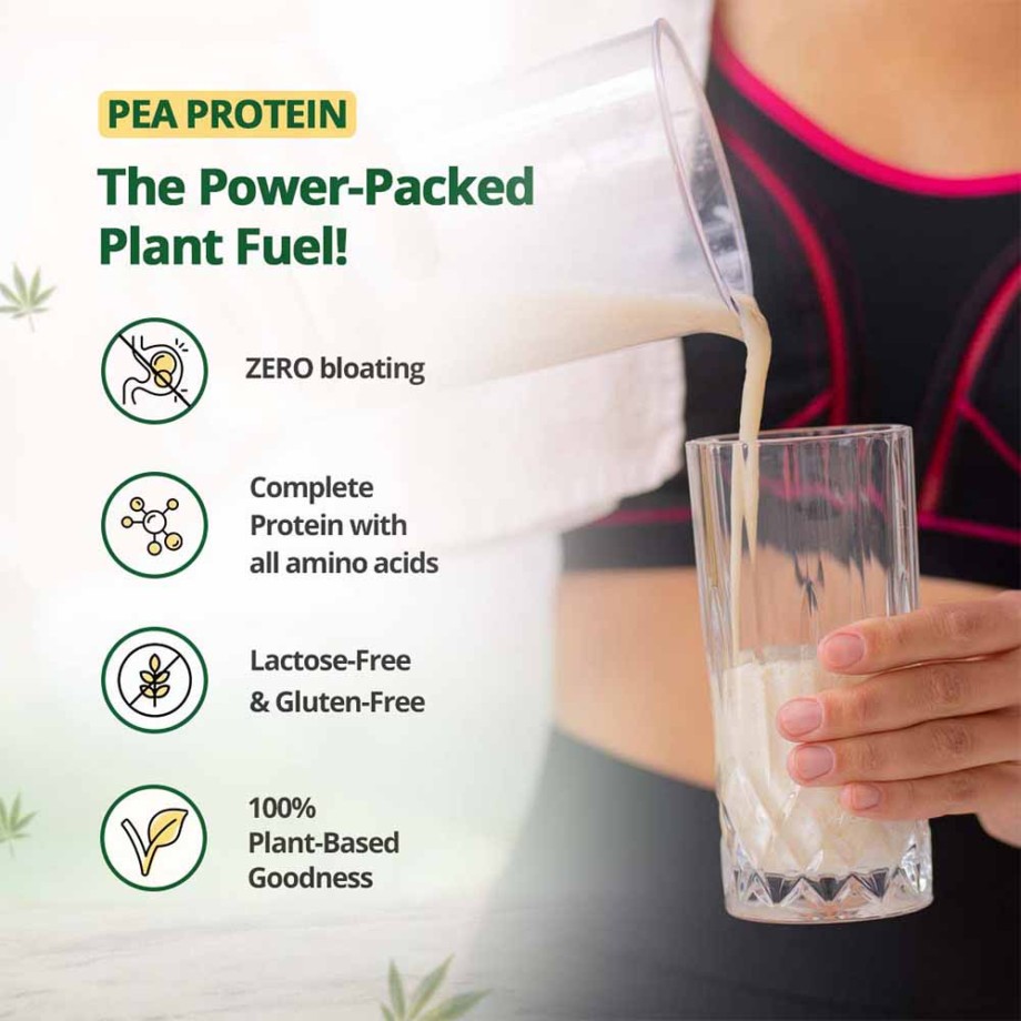 Hampa Protein powder- Coffee- Pack of 3 - Image 7