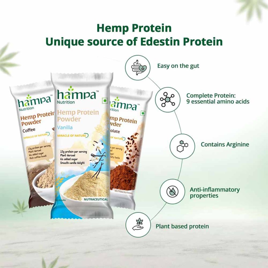 Hampa Protein Powder- Mixed Flavours, Pack of 3 - Image 5