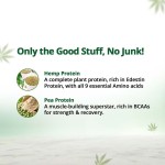 Hampa Protein Powder- Mixed Flavours, Pack of 3 - Image 6