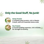 Hampa Protein powder- Coffee- Pack of 3 - Image 5