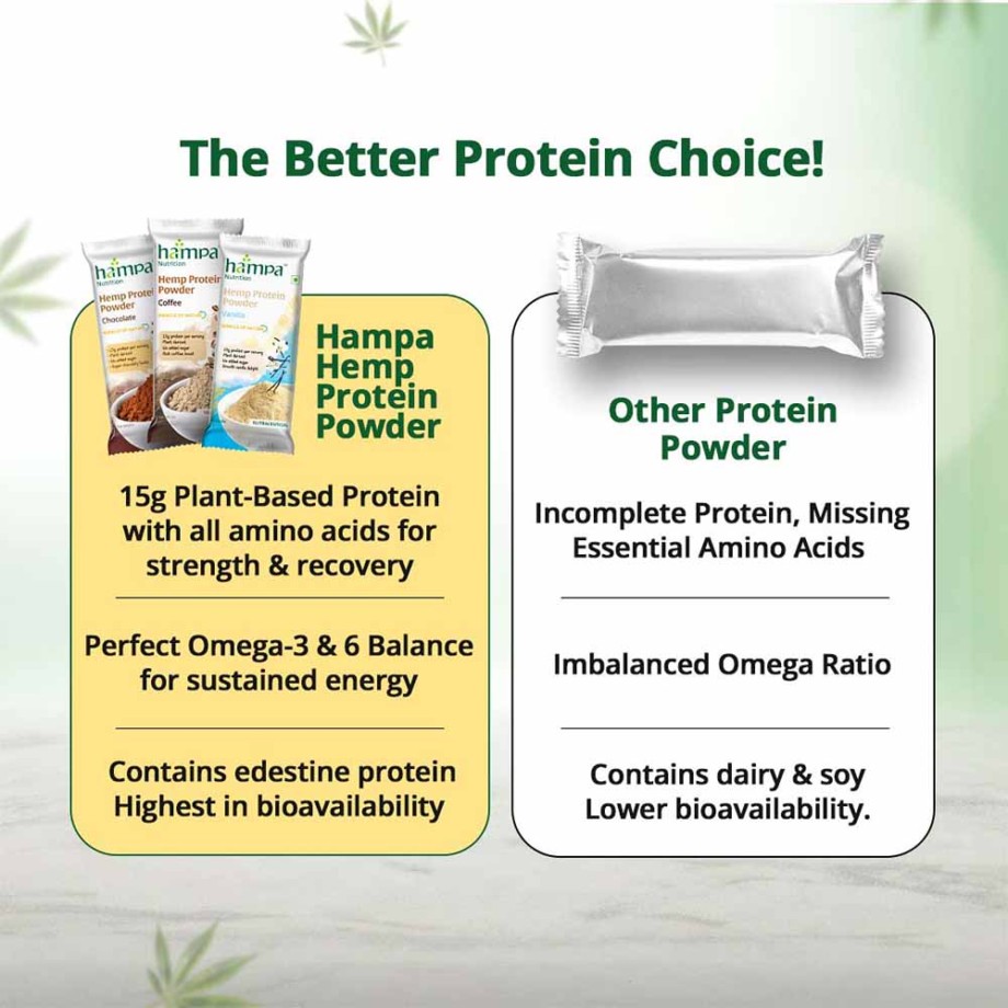Hampa Protein Powder- Mixed Flavours, Pack of 3 - Image 7