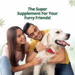 Hampa Hemp Seed Oil for Pets, 50 ml - Image 4