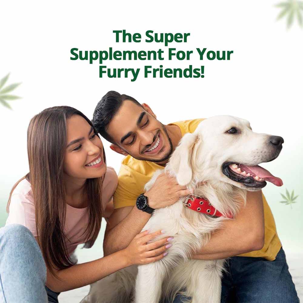 Hampa Hemp Seed Oil for Pets, 50 ml - Image 4