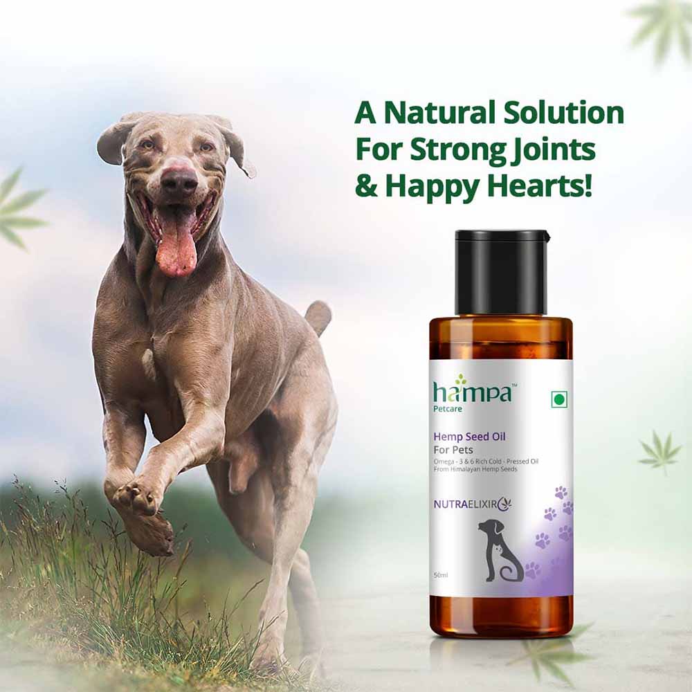 Hampa Hemp Seed Oil for Pets, 50 ml - Image 2