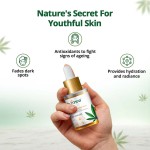 Hampa Vijaya Kumkumadi Serum, 15 ml - Image 4