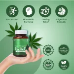Shivantaa CBD Full Spectrum Relief Oil For Pain, 30 ML on itshemp.in