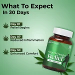 Shivantaa CBD Full Spectrum Relief Capsule For Pain, 10 Capsules on itshemp.in
