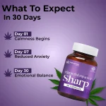 Shivantaa CBD Full Spectrum Sharp Capsule For Stress, 10 Capsules on itshemp.in