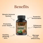 Cure By Design Superrsupps Chaga Mushroom Capsules, 60 Capsules on itshemp.in