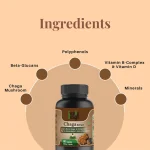 Cure By Design Superrsupps Chaga Mushroom Capsules, 60 Capsules on itshemp.in