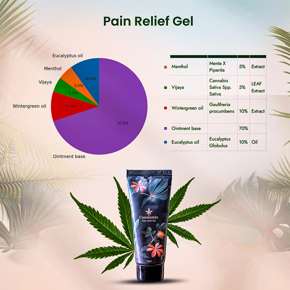 Cannamix Pain Relief Gel, (30gm-50gm) - Image 4