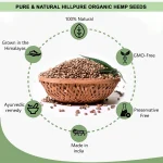 Hillpure Organic Natural Raw Hemp Seed, 175Gm on itshemp.in