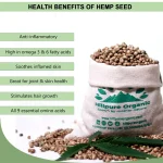 Hillpure Organic Natural Raw Hemp Seed, 175Gm on itshemp.in