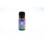 CannaBuddy Cloud9, (10000mg), 10ml on itshemp.in