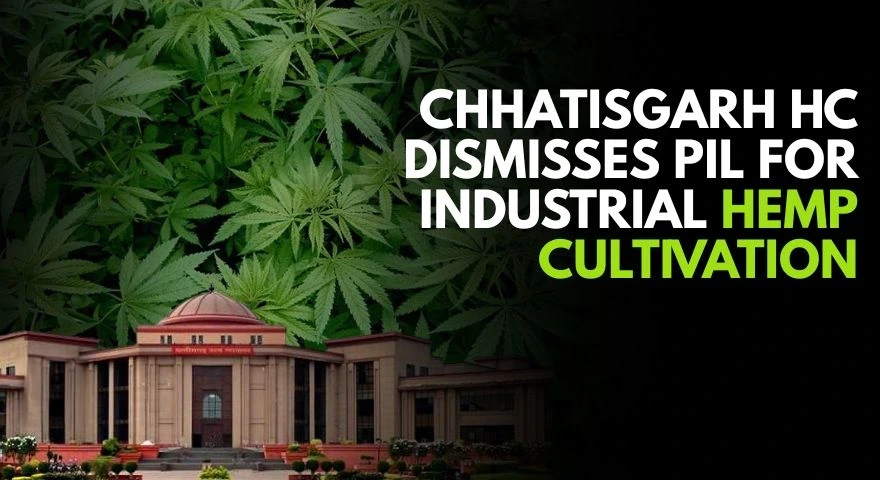 Chhattisgarh hemp PIL 2025