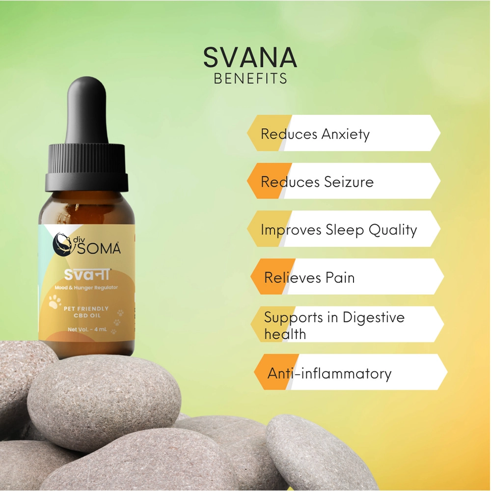 Divsoma Svana Pet Friendly CBD Oil, 4ml on itshemp.in