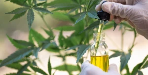 hemp industry challenges India 2024