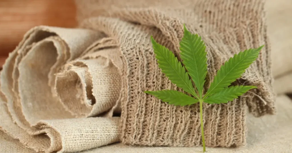 industrial hemp market India 2025