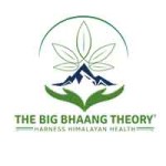 The Big Bhaang Theory logo