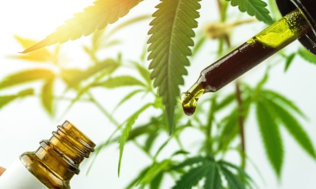 USDA hemp testing rules 2025