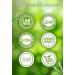 Cannarma Kanabi Hemp Coffee (250gm) on itshemp.in