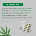 Medicann Trailokya Vijaya Vati Capsules, 450 mg - Image 3