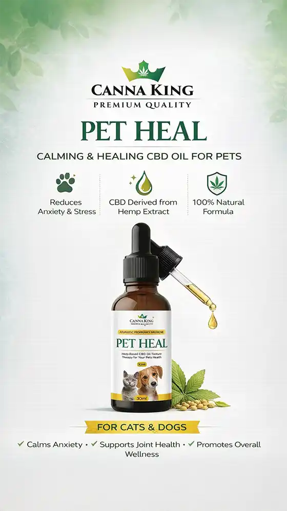 Cannaking 1