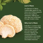 Moksa Lion’s Mane Mushroom Liquid Extract – 30 ml on itshemp.in