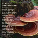 Moksa Reishi Mushroom Liquid Extract - 30 ml on itshemp.in