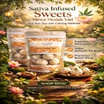 Soma Sutra Wellness Mewa Modak Vati, (10 Vati) on itshemp.in