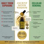 Holi Herb Zen Drops, (10 ml) on itshemp.in