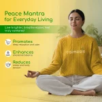 Calmosis Peace Mantra Premium Ayurvedic THC+CBD Cannabis Tincture 4000mg, 20ml on itshemp.in