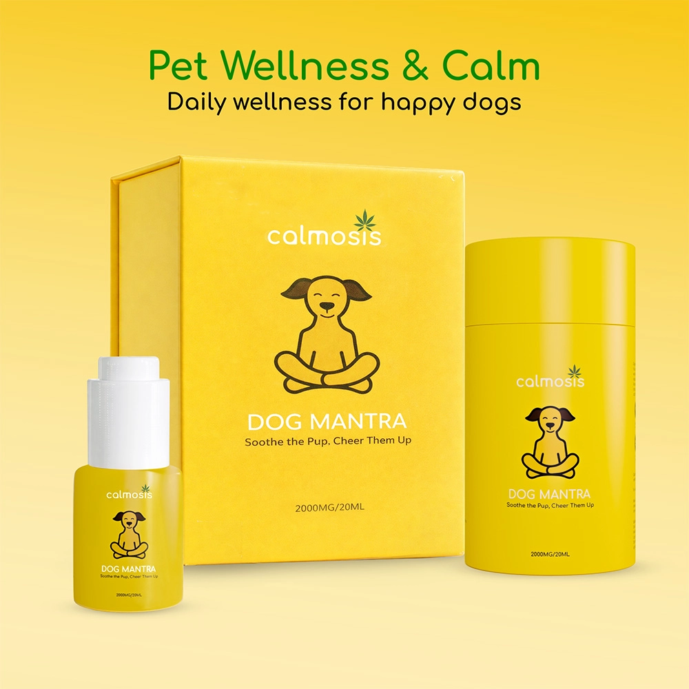 Calmosis Dog Mantra THC-Free CBD Oil for Dogs 2000mg (Chicken Flavour), 20ml on itshemp.in